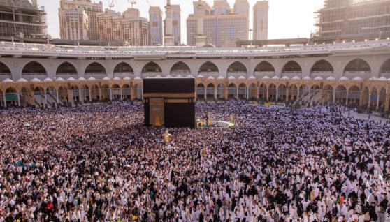  أعداد المعتمرين