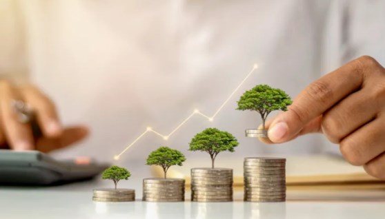 الاستثمار مستقبل واعد 