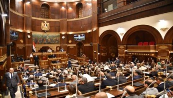 مجلس الشيوخ يناقش خطة الدولة
