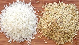 سعر الأرز