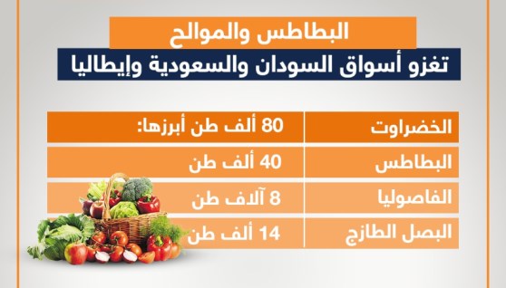 صادرات مصر من الخضروات والفاكهة الأسبوع الماضي