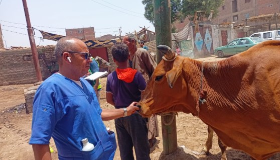 جانب من القافلة البيطرية