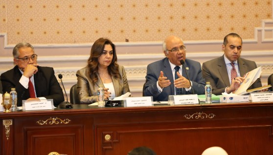 وزيرة التنمية المحلية