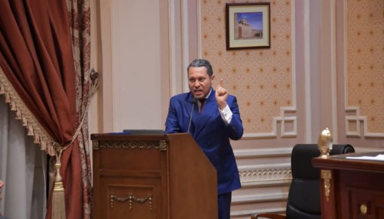 النائب علاء عصام