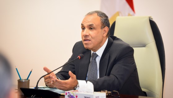 الدكتور بدر عبد العاطي وزير الخارجية