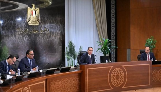 مجلس الوزراء