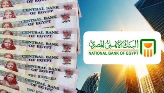 البنك الاهلي 