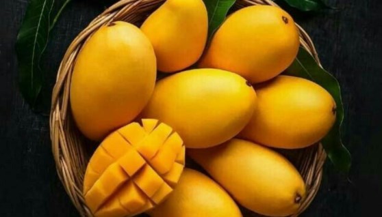 المانجو
