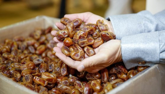 التمور المصرية