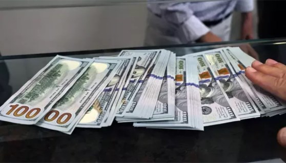 سعر صرف الدولار الامريكى 