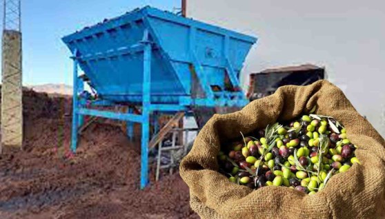 نفايات الزيتون إلى وقود نظيف