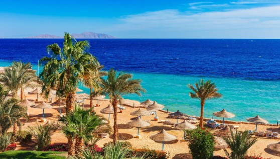 السياحية