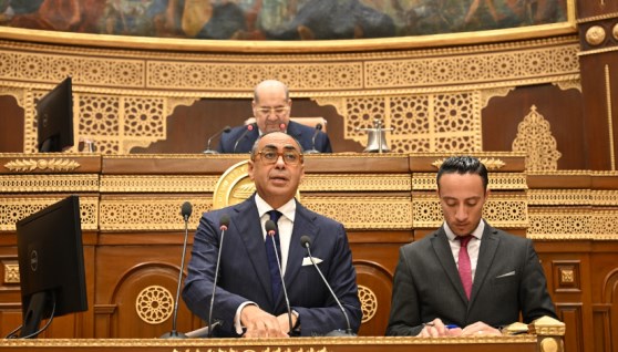 هانى سرى الدين خلال عرض اادراسة أمام مجلس الشيوخ