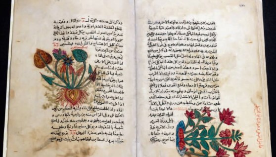 اليوم العالمي للمتاحف