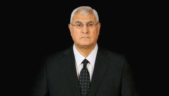 المستشار عدلي منصور 