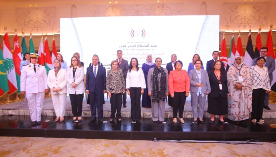  وزير الخارجية والهجرة وشؤون المصريين في الخارج