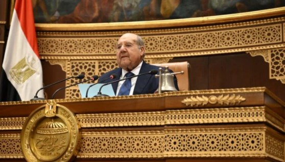  المستشار عبدالوهاب عبدالرازق