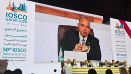 الدكتور محمد فريد، رئيس الهيئة العامة للرقابة المالية