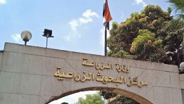 مركز البحوث الزراعية