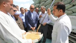 متابعة موسم توريد القمح