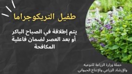 "معاك في الغيط" تنشر مواد توعوية حول أهمية المكافحة الحيوية واستخداماتها