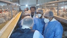 حملات بيطرية لدعم المربين وتعزيز منظومة الإنتاج الداجني