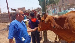 جانب من القافلة البيطرية