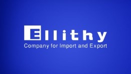الليثي Company