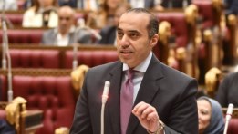  المستشار محمود فوزي