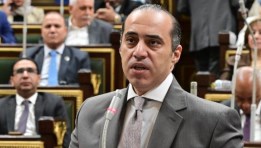 المستشار محمود فوزي