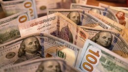 الدولار  الأمريكي مقابل الجنيه المصري