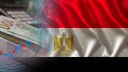 الاستثمارات المحلية والأجنبية