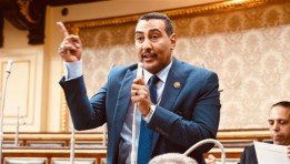 النائب محمد الجبلاوي