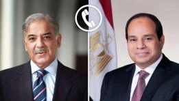 الرئيس السيسي ورئيس الوزراء الباكستاني