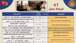  وزير العمل يُعلن 61 فرصة جديدة على مهن متنوعة