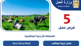 وزارة العمل تعلن عن توفير 5 فرص للعمل