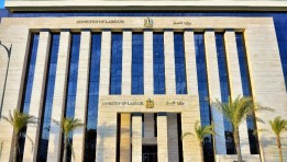 وزارة العمل المصرية  