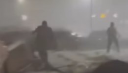 الإسكندرية 