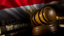 قانون العمل المصري