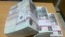 مفردات المرتب