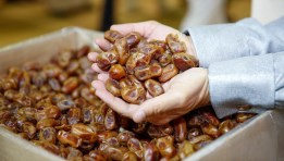 التمور المصرية
