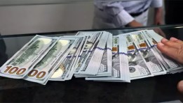 سعر صرف الدولار الامريكى 