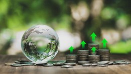 شركة العربية الأولى للتنمية والاستثمار