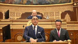 هانى سرى الدين خلال عرض اادراسة أمام مجلس الشيوخ