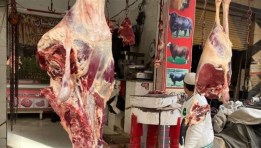 لحوم طازجة - أرشيفية