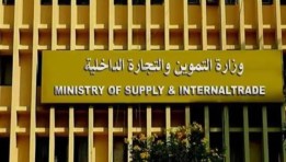 وزارة التموين والتجارة الداخلية