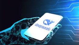 DeepSeek
