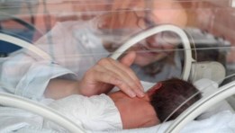 معدلات الإنجاب لمحافظات الجمهورية