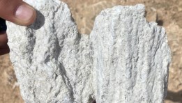 أسعار الجبس