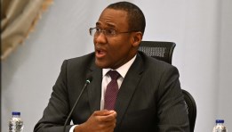  نائب المدير العام لصندوق النقد الدولي